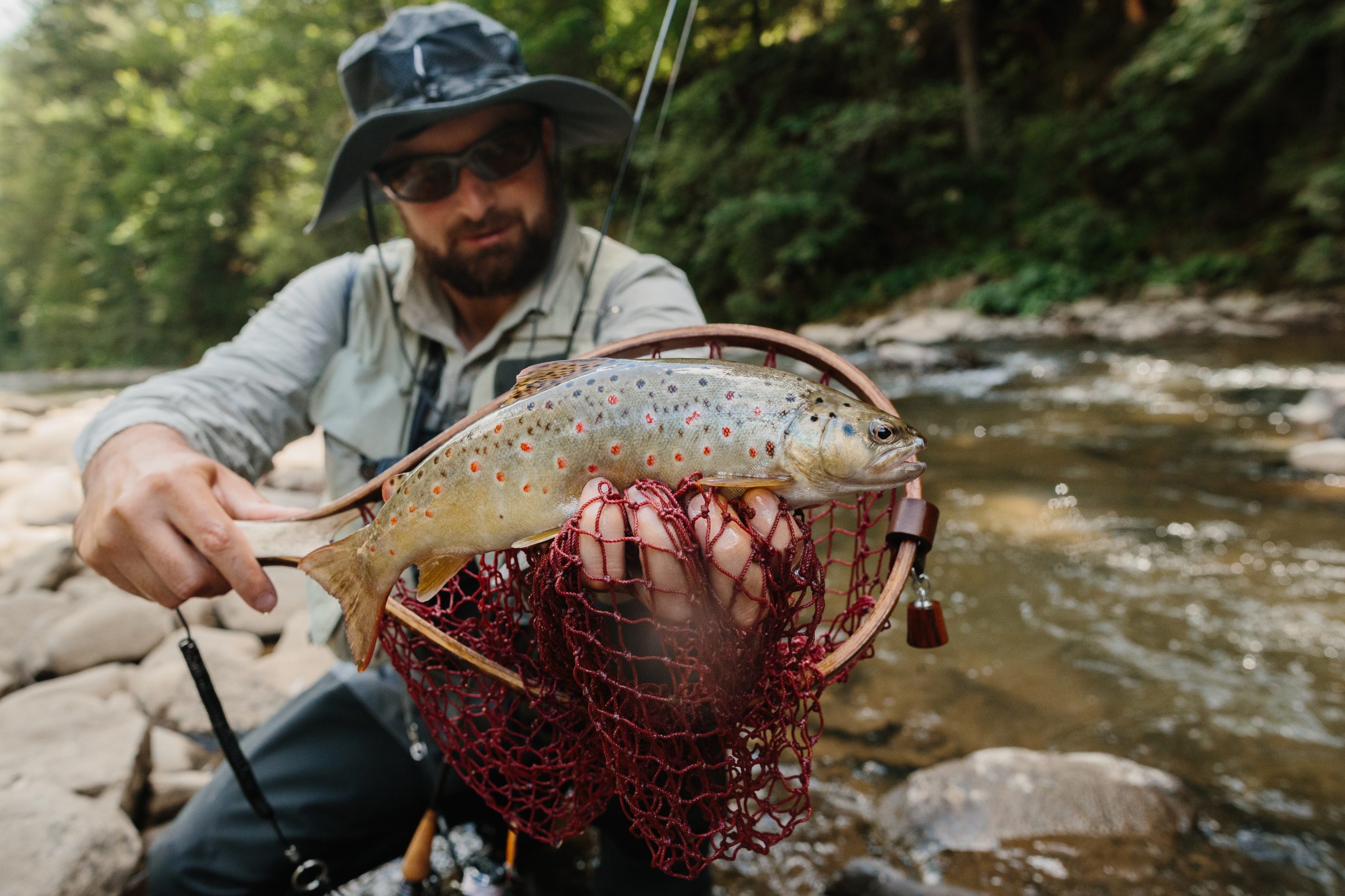 Fisherman holding a beautiful brown trout caught while fly fishing in a serene river, savoring the joys of outdoor recreation in nature